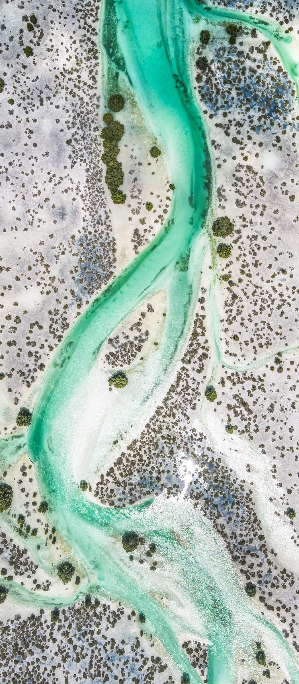 Ein mintgrüner Gezeitenbach senkrecht von oben, zwischen Sandflächen und Mangroven auf Saadiyat Island