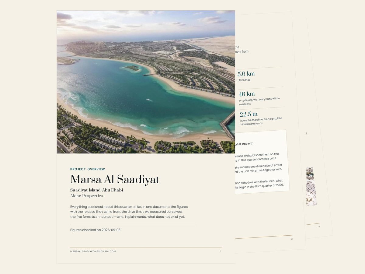 The project overview: its cover and two of its pages, fanned